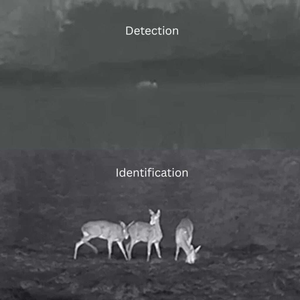 Διαφορά detection και identification σε μονοκιάλι θερμικής απεικόνισης με εντοπισμό και αναγνώριση ζώων