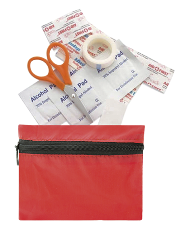 ΚΙΤ ΠΡΩΤΩΝ ΒΟΗΘΕΙΩΝ, FIRST AID KIT, ALBAINOX, 39983