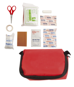 ΚΙΤ ΠΡΩΤΩΝ ΒΟΗΘΕΙΩΝ, FIRST AID KIT, ALBAINOX, 39984